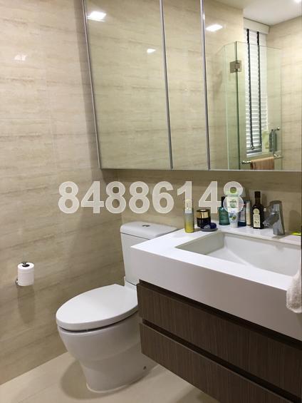 The Palette (D18), Condominium #146653392